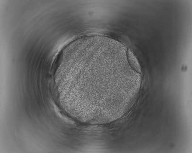 X0000111870050200909031825