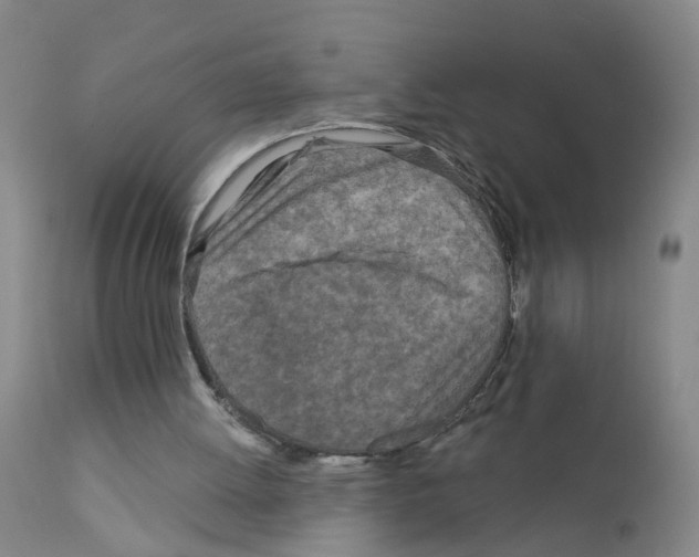 X0000111870052200909031825