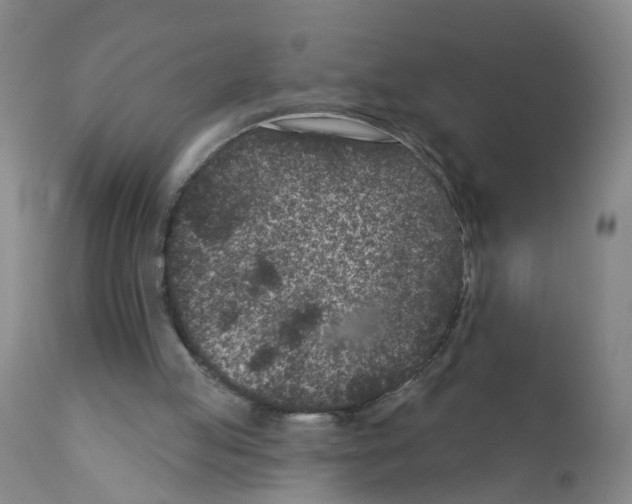 X0000111870053200909031825