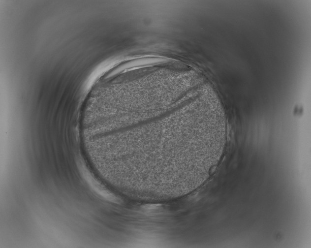 X0000111870054200909031826