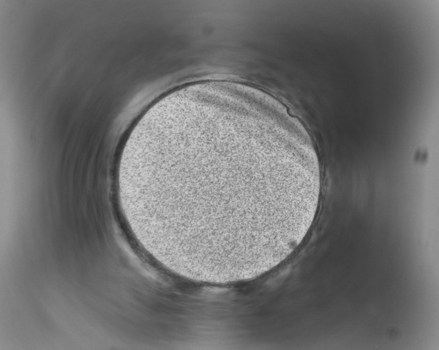 X0000111870055200909031826