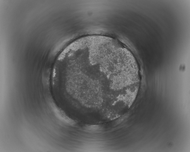 X0000111870058200909031826