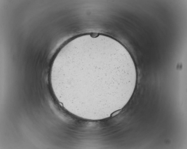 X0000111870060200909031826