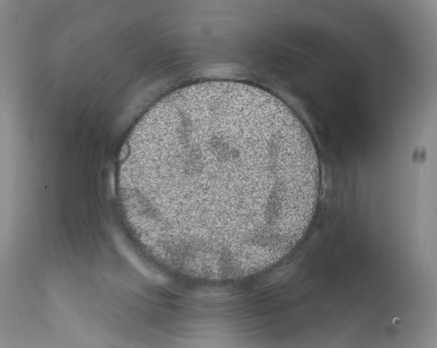 X0000111870061200909031826