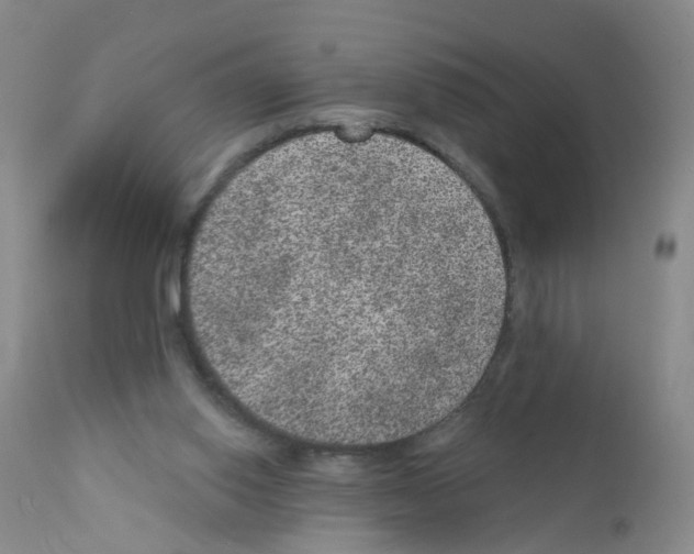 X0000111870062200909031826