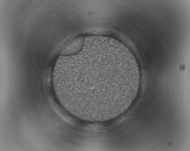 X0000111870065200909031826