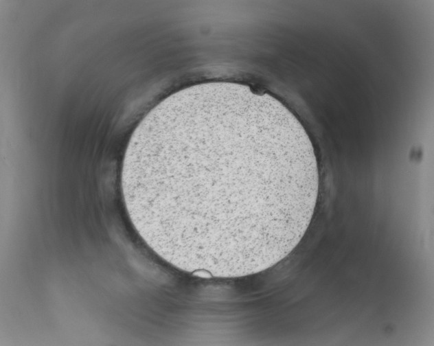 X0000111870066200909031826