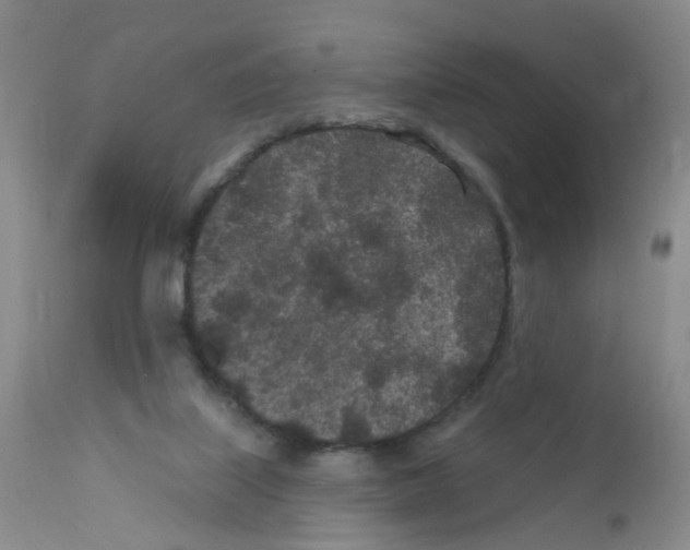 X0000111870067200909031826