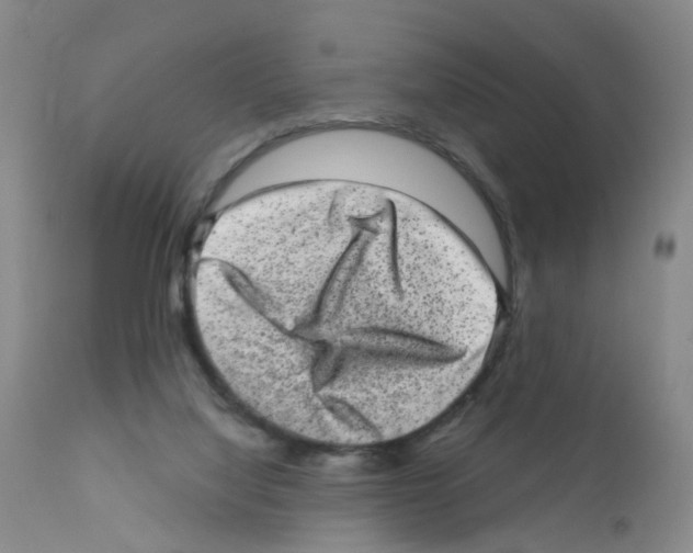 X0000111870068200909031826