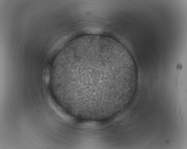 X0000111870069200909031826