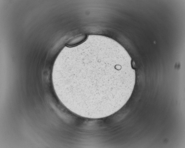 X0000111870072200909031826