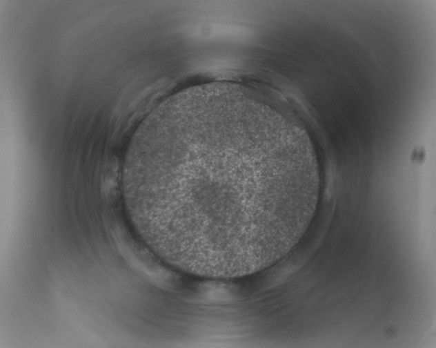 X0000111870073200909031826