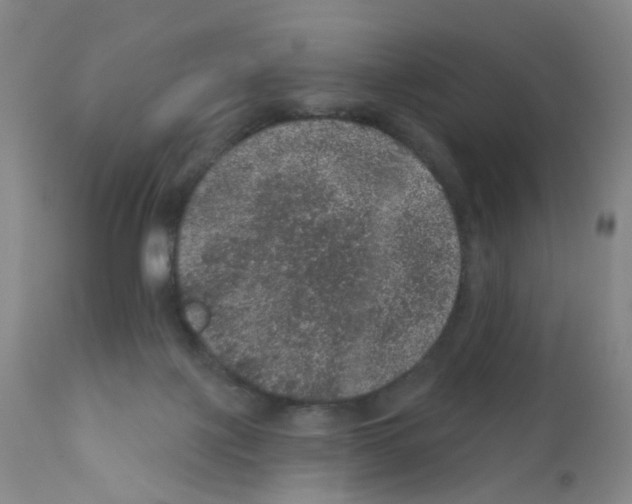 X0000111870075200909031826