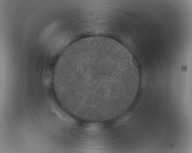 X0000111870077200909031826