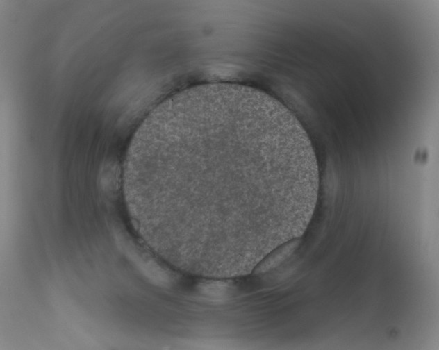 X0000111870079200909031826