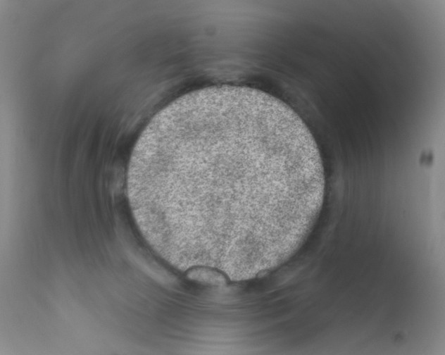 X0000111870081200909031826