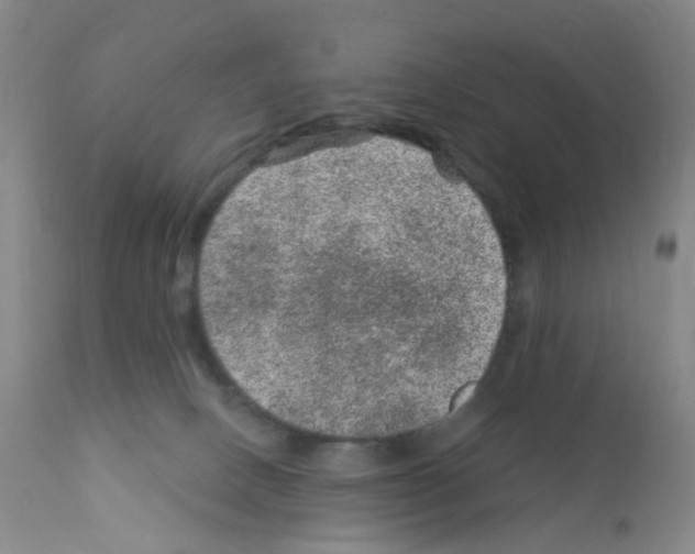 X0000111870082200909031826