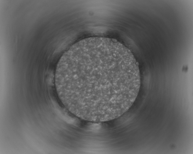 X0000111870083200909031826