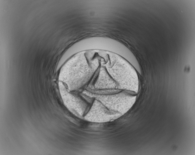 X0000111870084200909031826