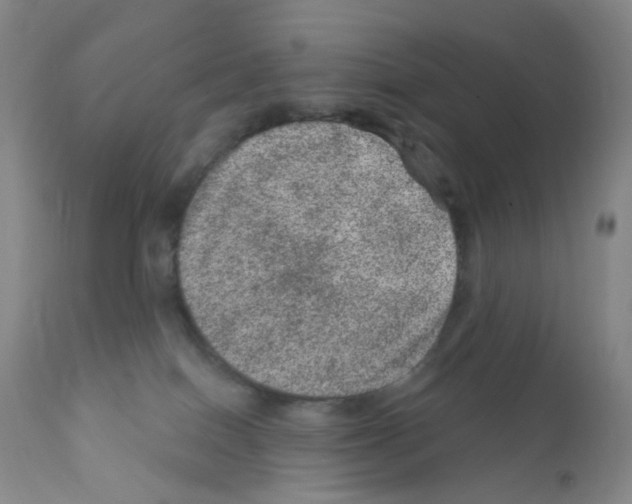 X0000111870086200909031826