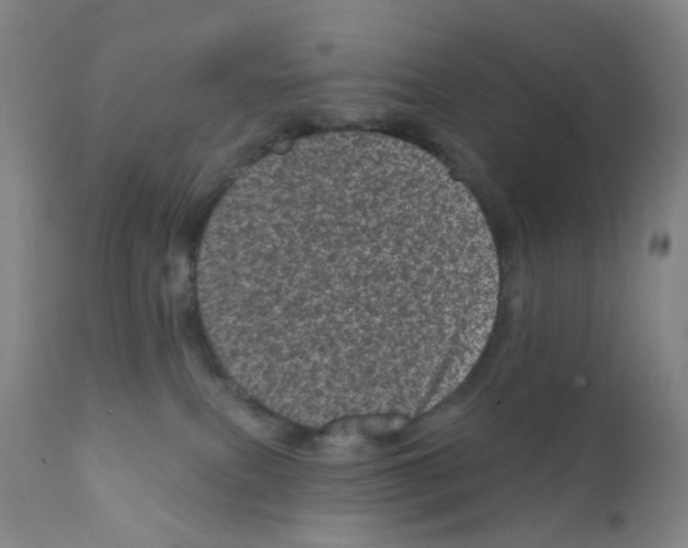 X0000111870087200909031826