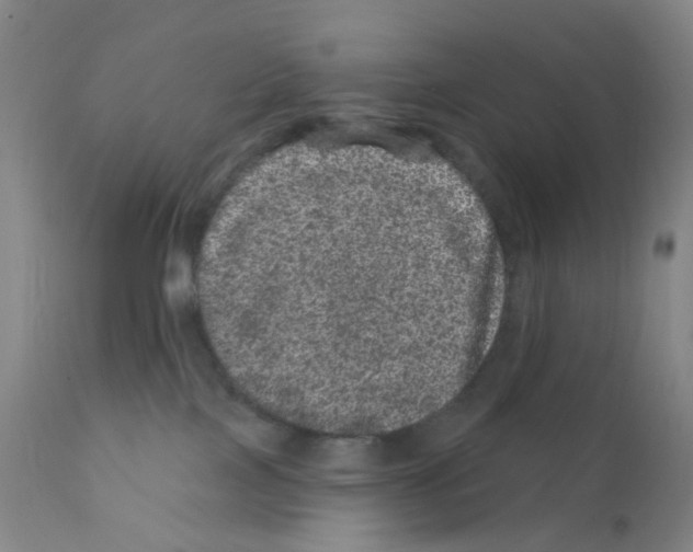 X0000111870089200909031826