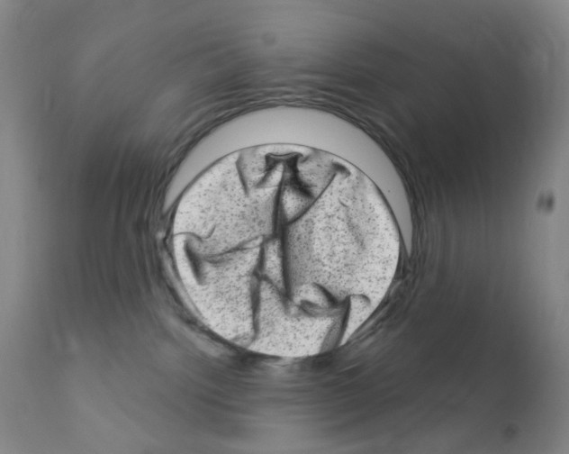 X0000111870092200909031826