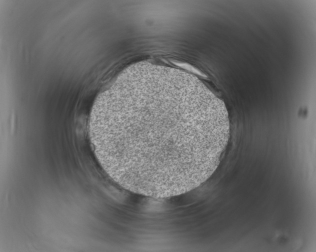 X0000111870093200909031826