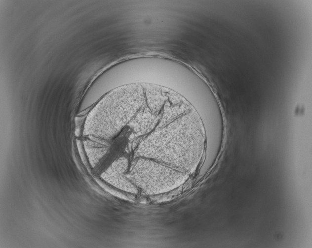 X0000111870097200909031825