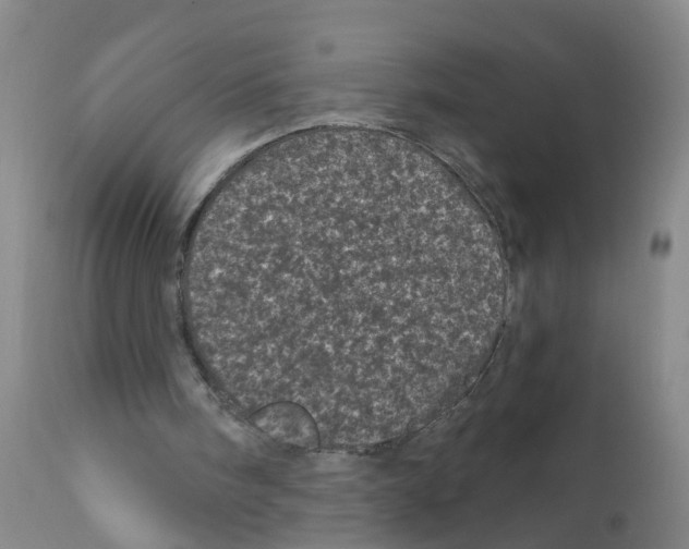 X0000111870098200909031825