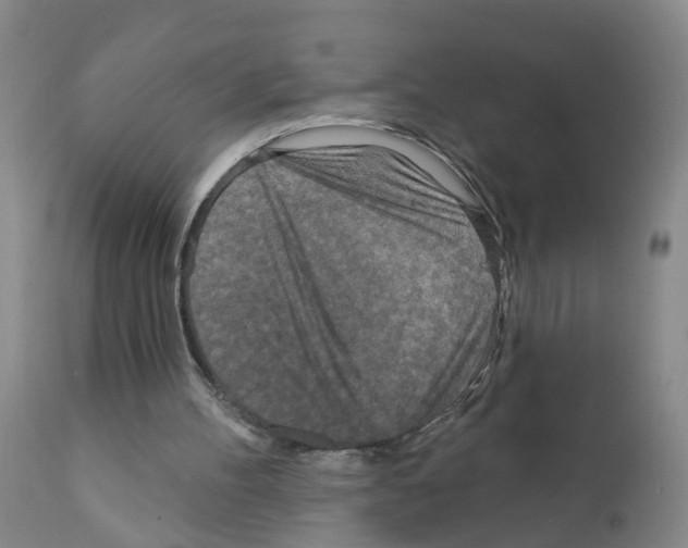 X0000111870100200909031825