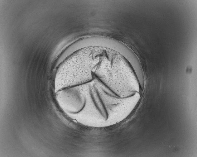 X0000111870101200909031825