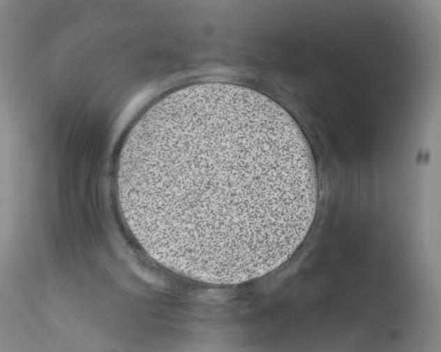 X0000111870102200909031825