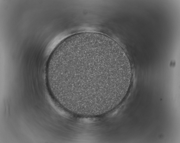 X0000111870103200909031825