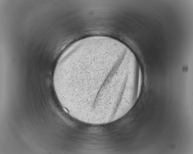 X0000111870105200909031825