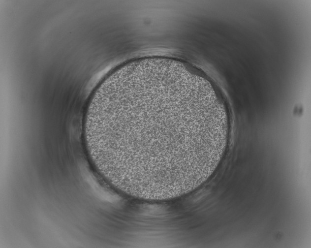 X0000111870107200909031825