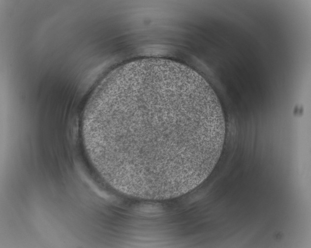 X0000111870110200909031825