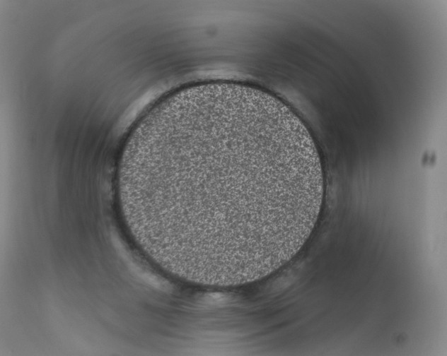 X0000111870111200909031825