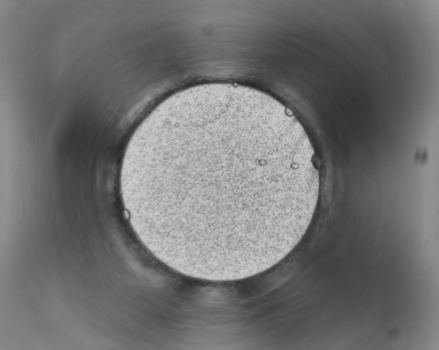 X0000111870115200909031825