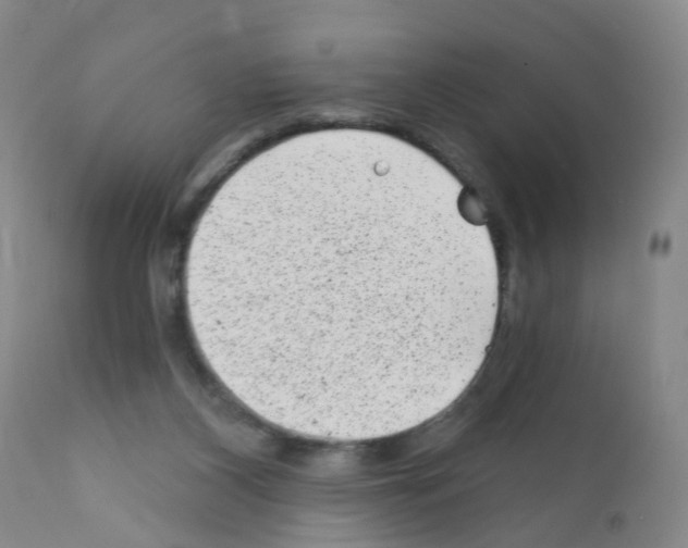 X0000111870116200909031825