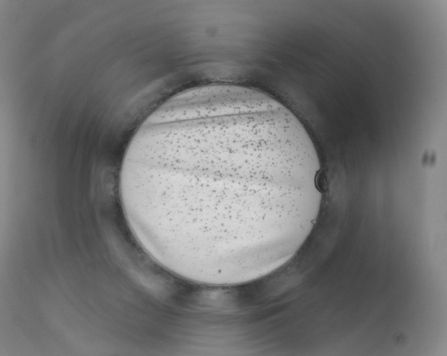 X0000111870117200909031825