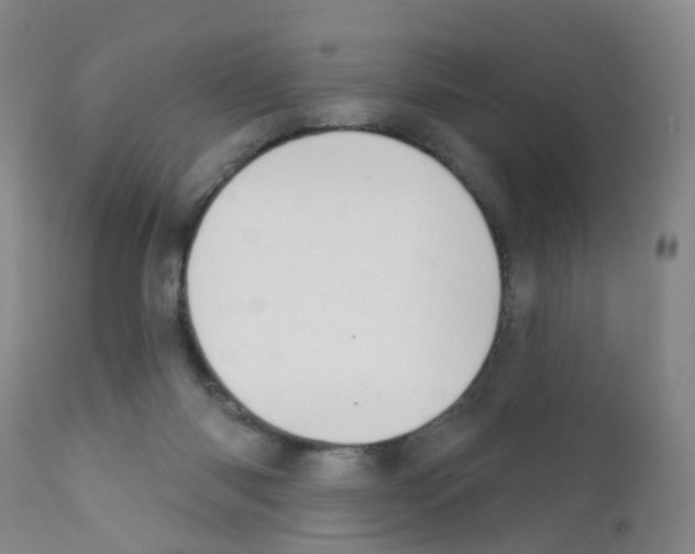 X0000111870118200909031825