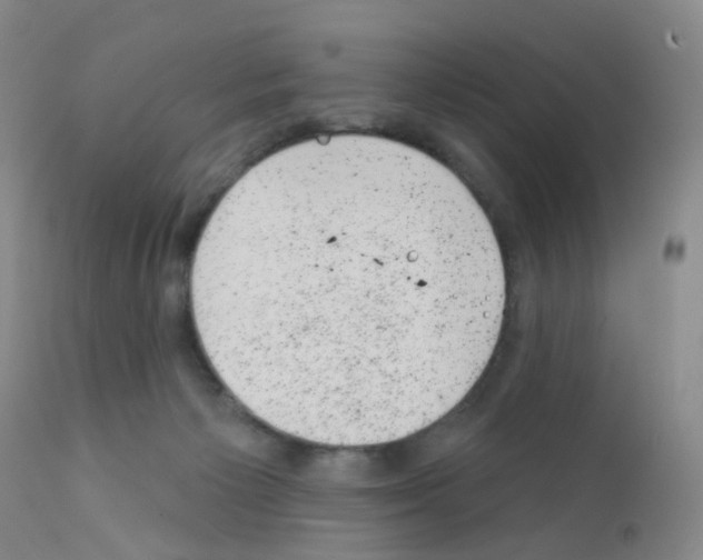 X0000111870125200909031825