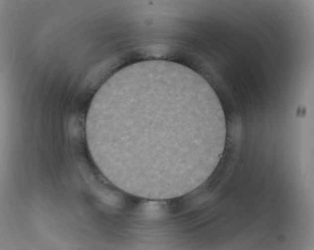 X0000111870126200909031825