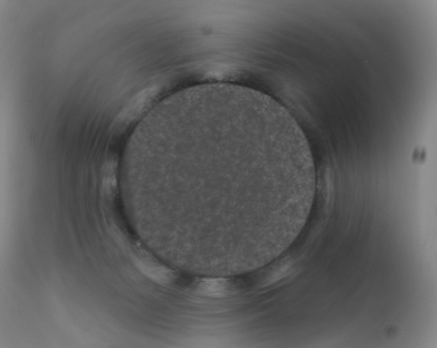 X0000111870127200909031825