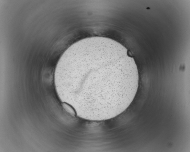 X0000111870129200909031825