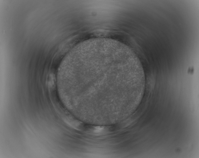 X0000111870130200909031825