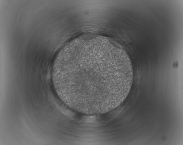 X0000111870131200909031825