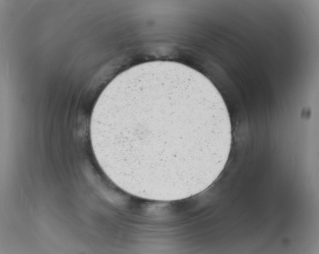 X0000111870132200909031825