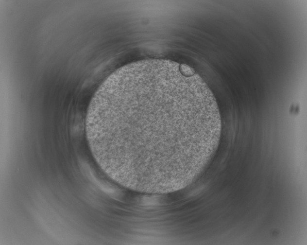 X0000111870134200909031825